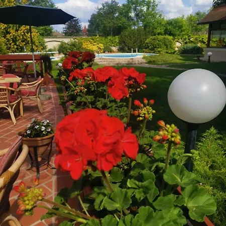 Garni Vila Milord 4* Palić
